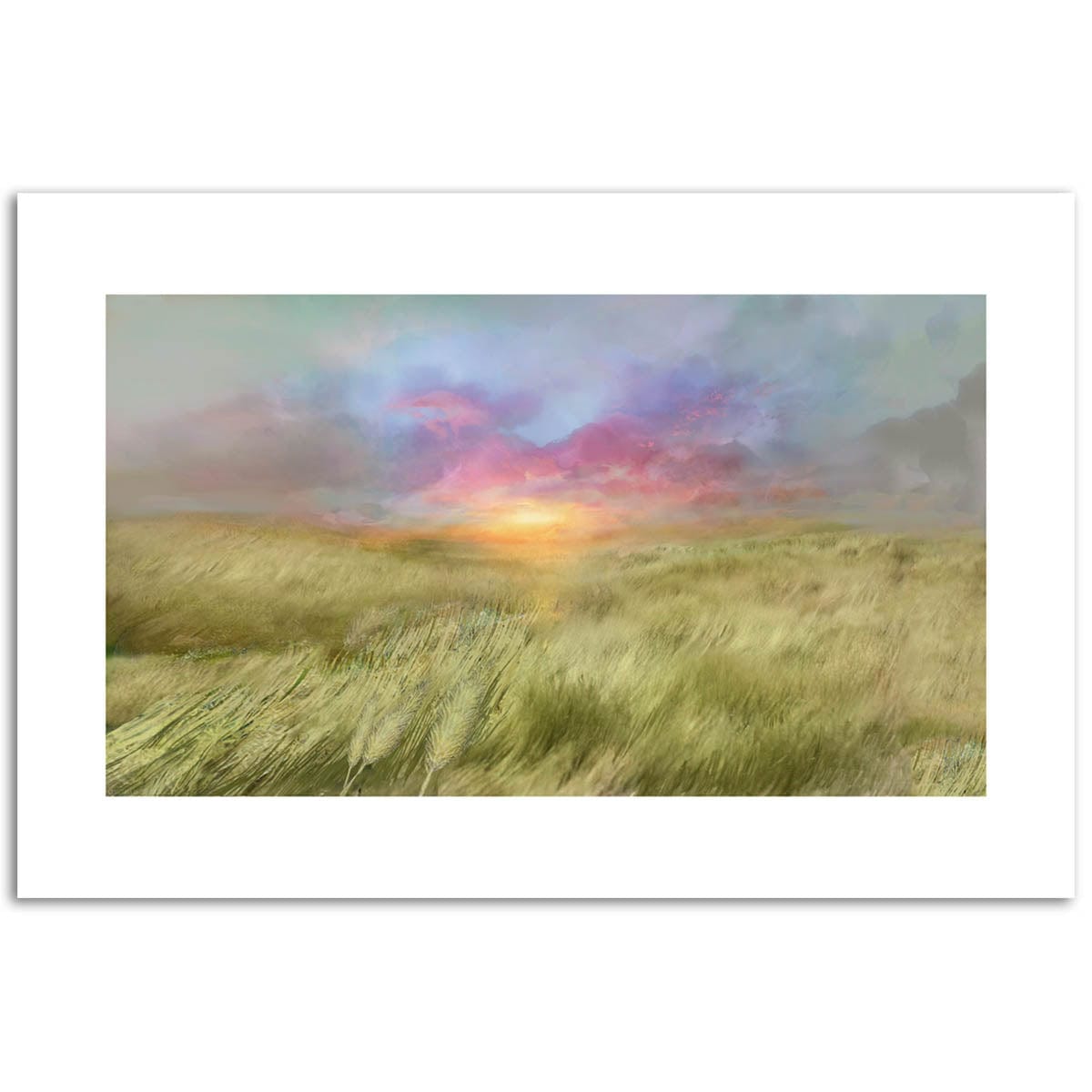 Plains Print (Limited Edition)