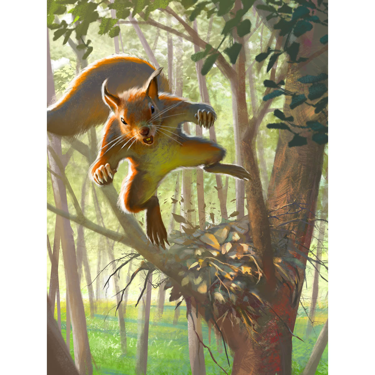 Squirrel Token Print